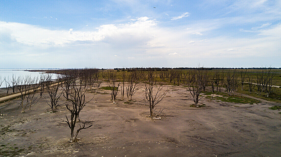 Blick auf kahle Bäume auf verlassene Landschaft an der Küste der Laguna Epecuen, Villa Epecuen