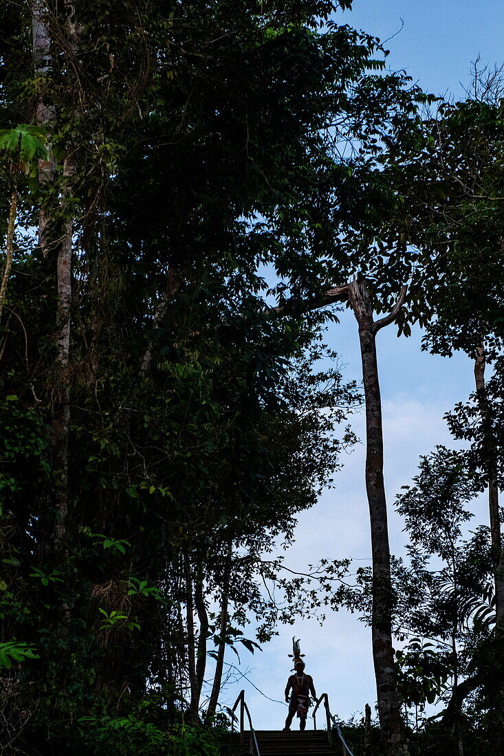Silhouette eines Ureinwohners der Touristen in seinem Dorf erwartet, nahe Manaus, Amazonas, Brasilien, Südamerika