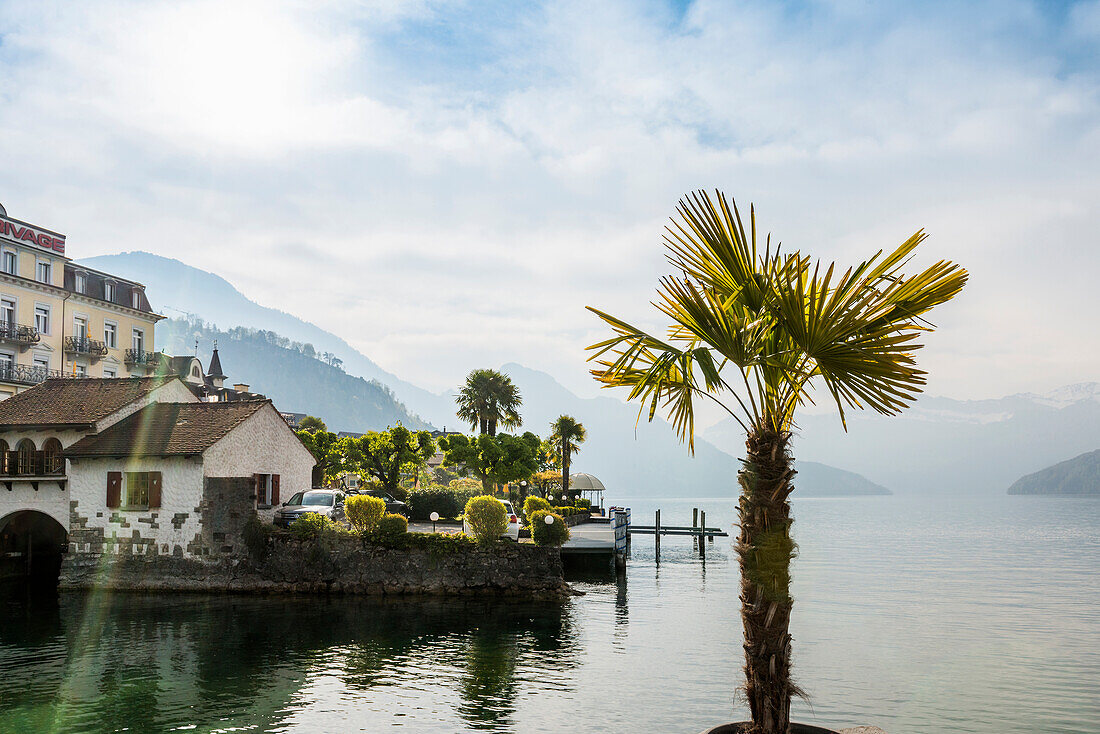 Hotels and houses by the lake, Weggis, Lake Lucerne, Canton of Lucerne, Switzerland