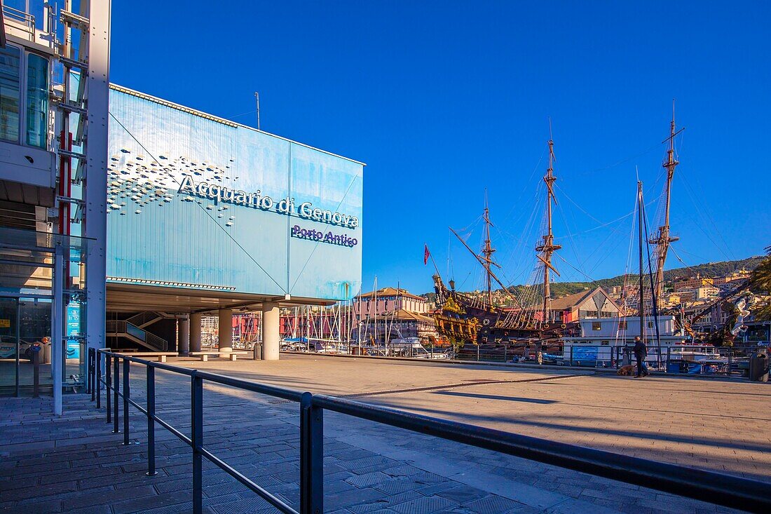 Aquarium of Genoa, Genoa (Genova), Liguria, Italy, Europe