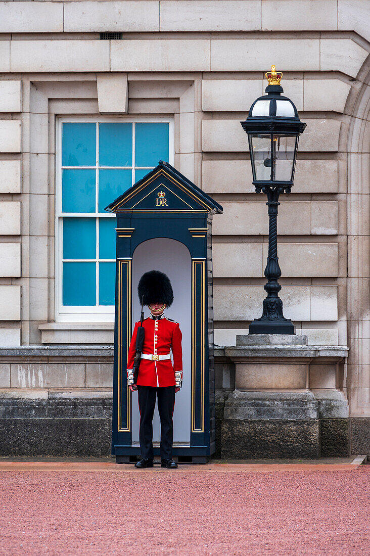 Ein Grenadier Guardsman außerhalb des Buckingham Palace, London, England, Vereinigtes Königreich, Europa
