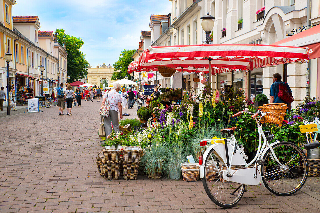 Flower stall on street by Brandenburg Gate, Potsdam, Germany, Europe