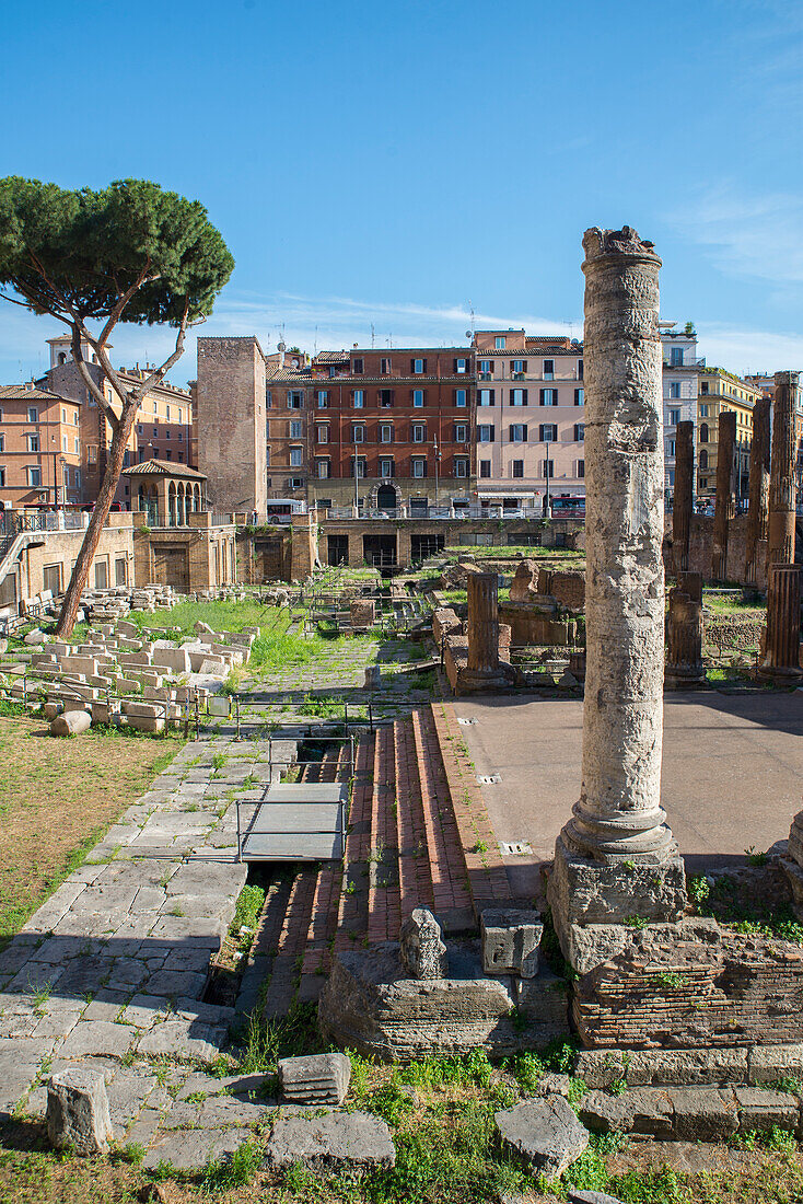 Largo di Torre Argentina, Rome, Lazio, Italy, Europe