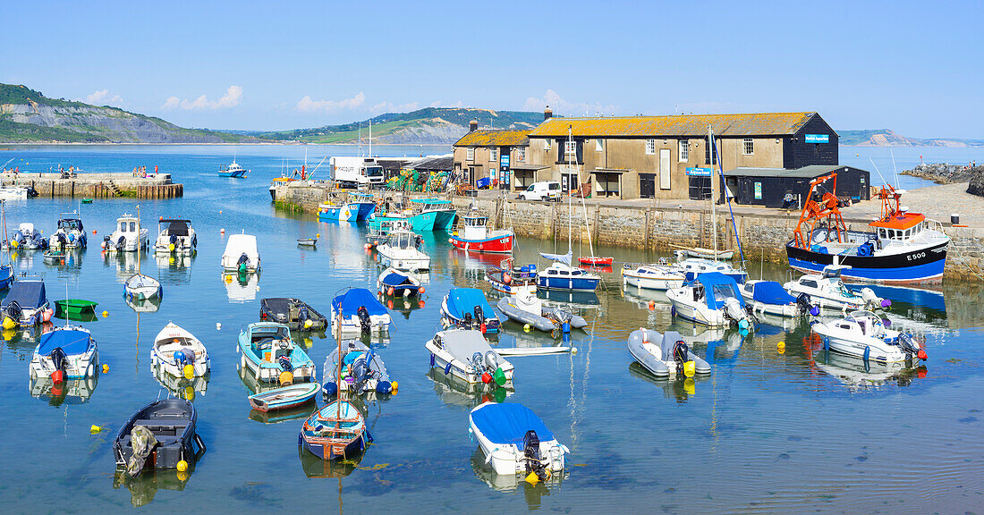 Fishing boats and yachts in the Jurassic Coast harbour at Lyme Regis, Dorset, England, United Kingdom, Europe