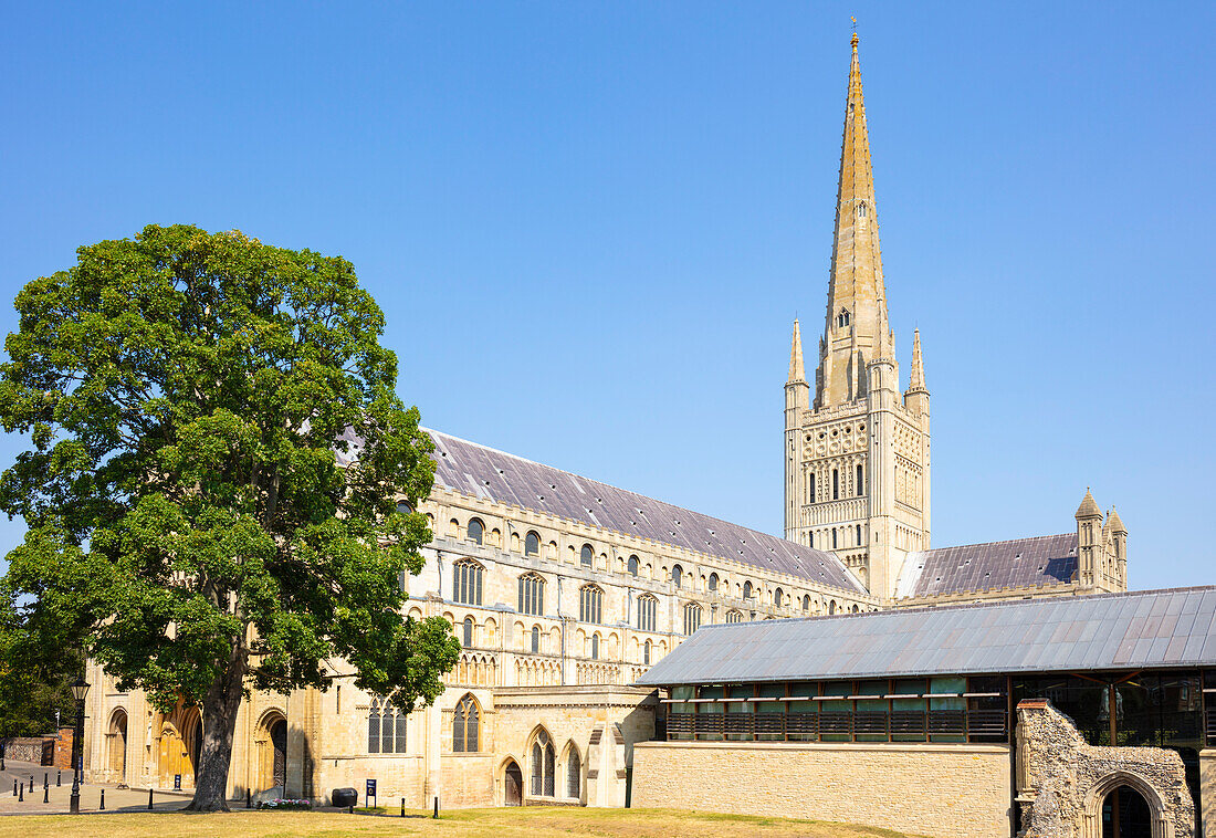 Kathedrale von Norwich mit neuem Refektorium, Hostry und Turmspitze, Norwich, Norfolk, East Anglia, England, Vereinigtes Königreich, Europa