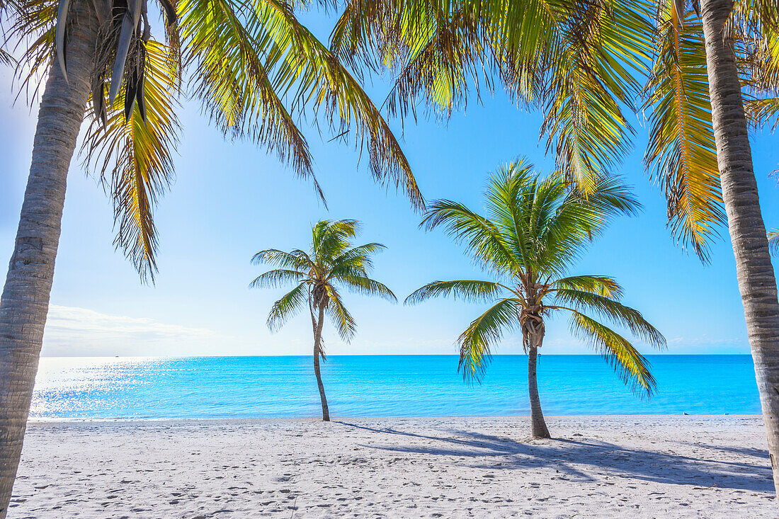 Smathers Beach, Key West, Florida, Vereinigte Staaten von Amerika, Nordamerika