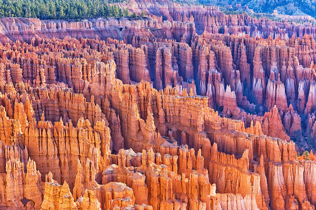 Bryce Canyon, Bryce-Canyon-Nationalpark, Utah, Vereinigte Staaten von Amerika, Nordamerika