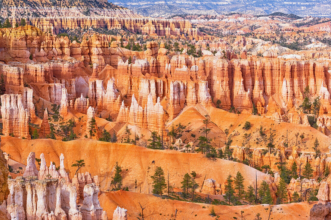 Sandsteinformationen, Bryce Canyon, Bryce-Canyon-Nationalpark, Utah, Vereinigte Staaten von Amerika, Nordamerika