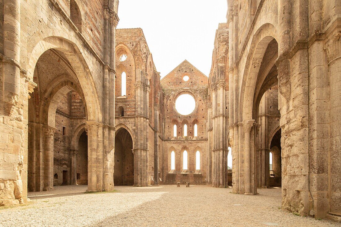 Abtei von San Galgano, Chiusdino, Siena, Toskana, Italien, Europa
