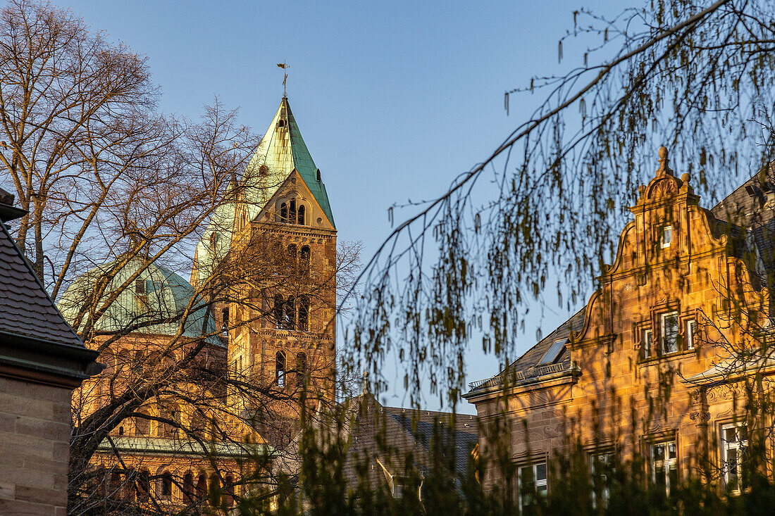 UNESCO World Heritage Speyer Cathedral at dusk, Speyer, Rhineland-Palatinate, Germany, Europe