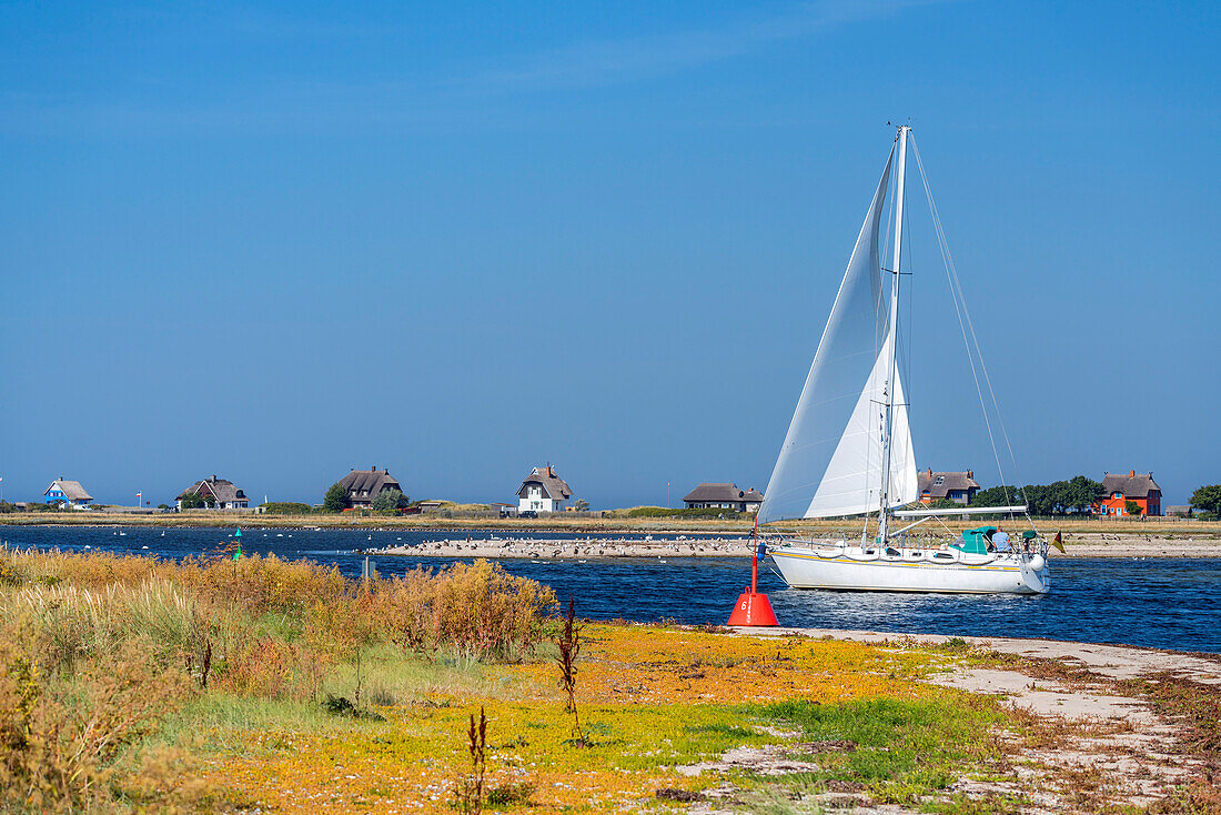 Sailing boat on the Baltic Sea in front of Heiligenhafen, Schleswig-Holstein, Germany