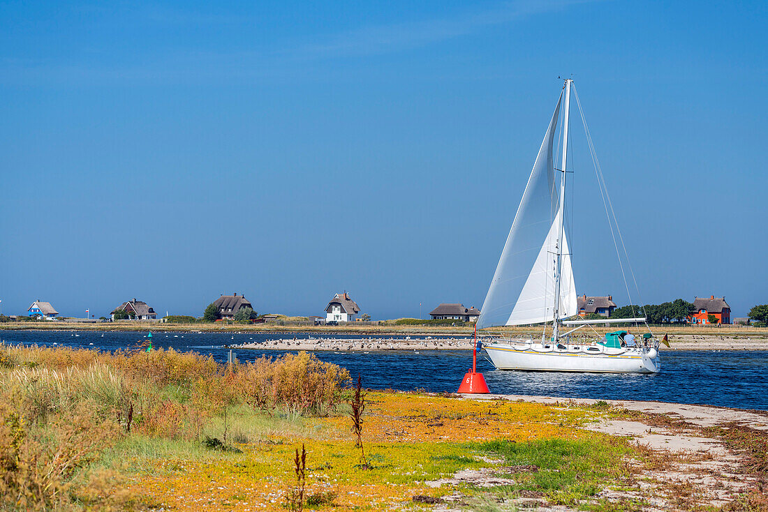 Segelboot auf der Ostsee vor Heiligenhafen, Schleswig-Holstein, Deutschland