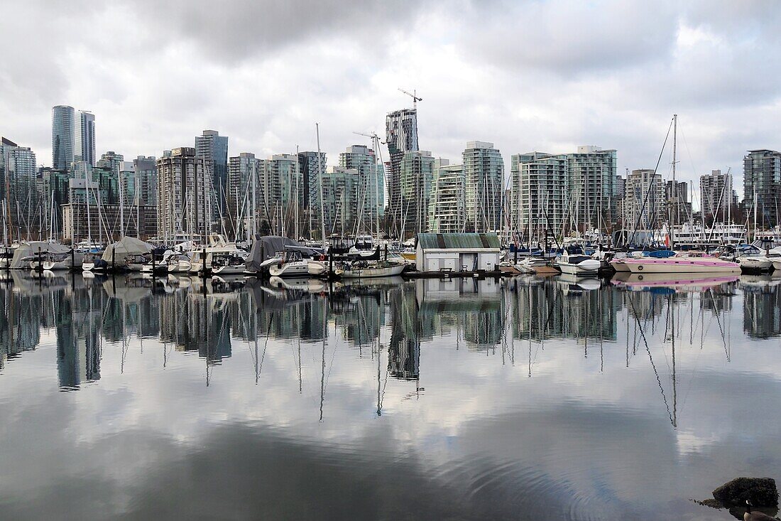 Ansicht von Vancouver vom Stanley Park, British Columbia, Kanada West