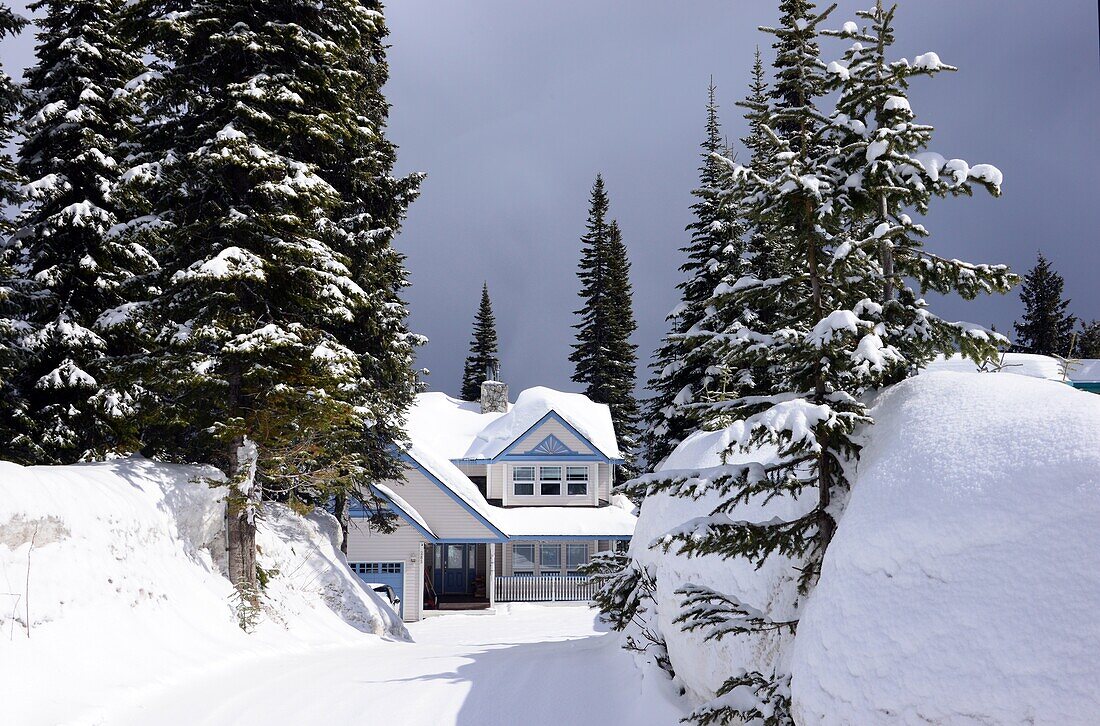 Ski Area Silver Star near Vernon, British Columbia, West Canada