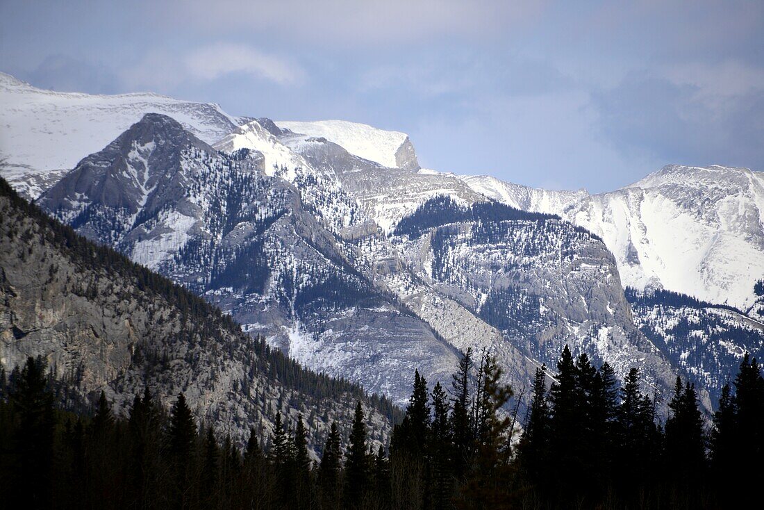 am Marsh Boerdwalk bei Banff, Banff National Park, Alberta, Kanada West