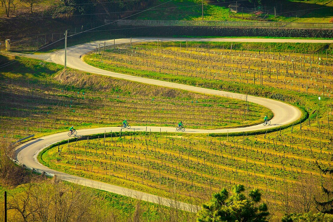 The panoramic route, Canelli, Piedmont, Italy, Europe