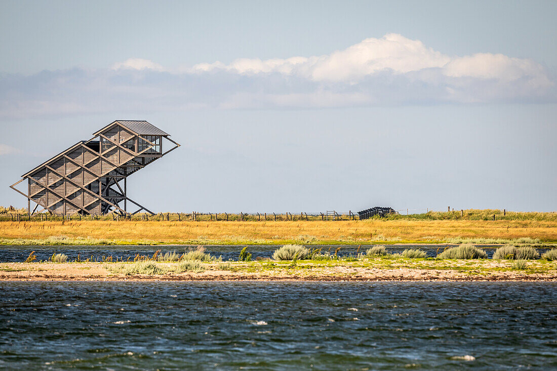 Blick auf den Aussichtsturm zur Beobachtung von Vögeln auf dem Graswarder, Heiligenhafen, Ostholstein, Schleswig-Holstein, Deutschland