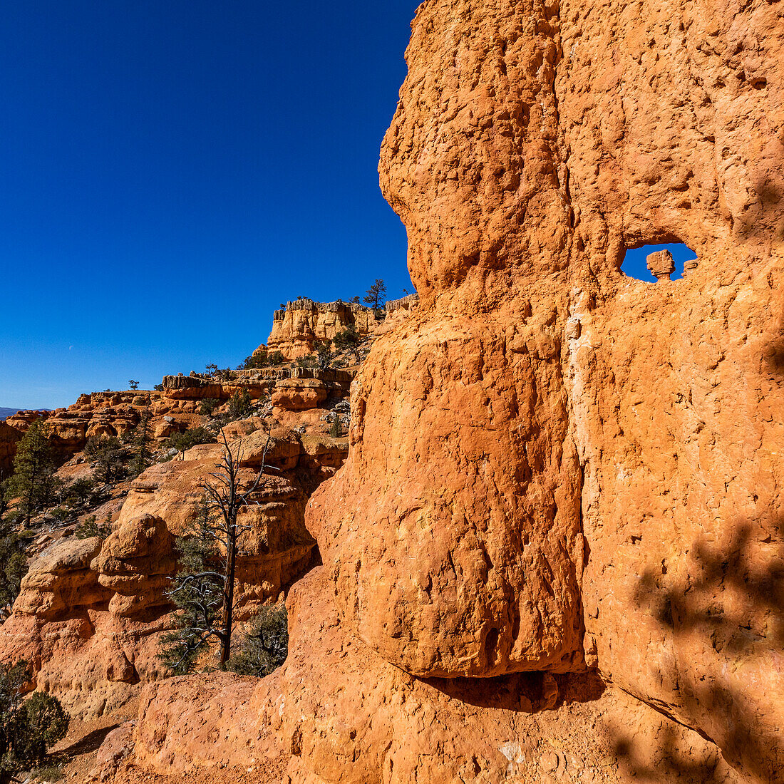 Vereinigte Staaten, Utah, Bryce-Canyon-Nationalpark, Hoodoo-Felsformationen