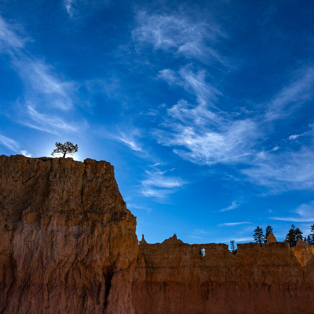 USA, Utah, Bryce-Canyon-Nationalpark, Bäume am Rand der Schlucht