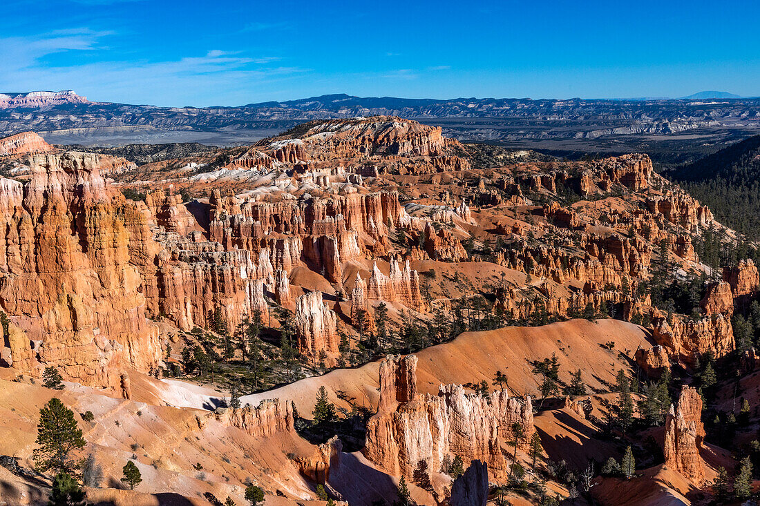 Vereinigte Staaten, Utah, Bryce Canyon National Park, Hoodoo Felsformationen im Canyon