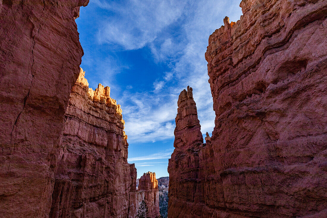 United States, Utah, Bryce Canyon National Park, Hoodoo rock formations in canyon