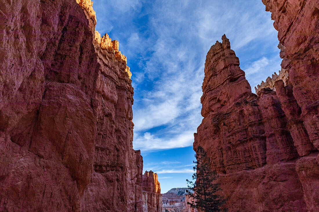 Vereinigte Staaten, Utah, Bryce Canyon National Park, Hoodoo Felsformationen im Canyon