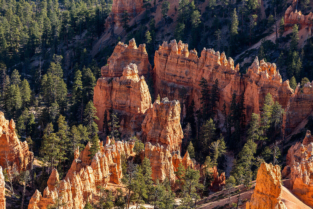 United States, Utah, Bryce Canyon National Park, Hoodoo rock formations in canyon