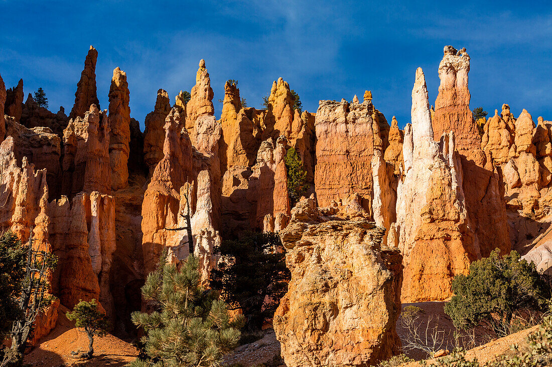 Vereinigte Staaten, Utah, Bryce Canyon National Park, Hoodoo Felsformationen im Canyon