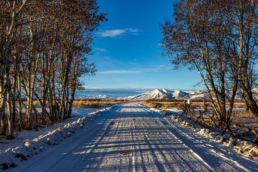 United States, Idaho, Bellevue, Country road leading to snowcapped mountains