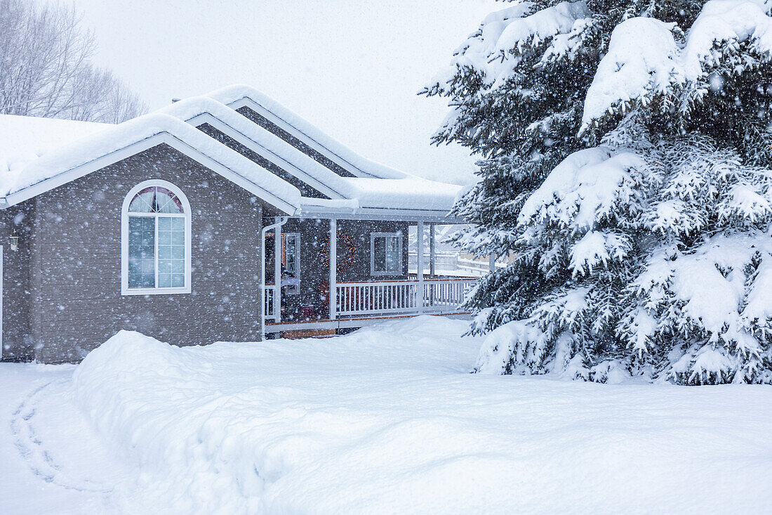 United States, Idaho, Bellevue, House and fir trees covered with fresh snow