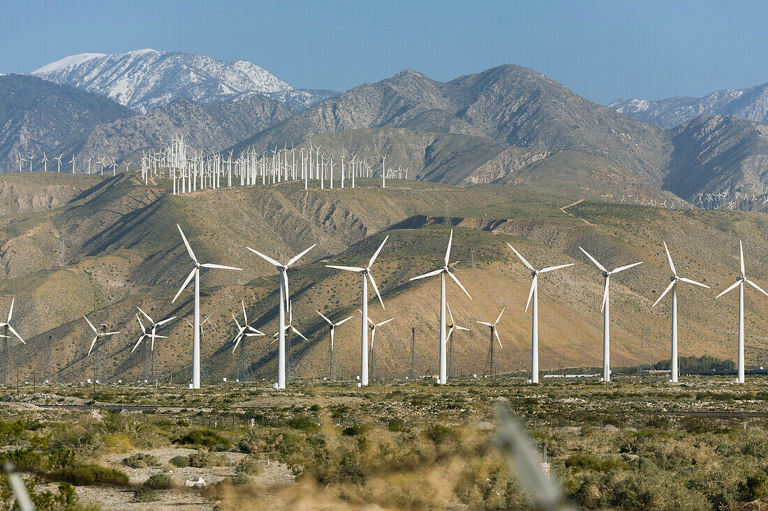 United States, California, Wind farm in mountains