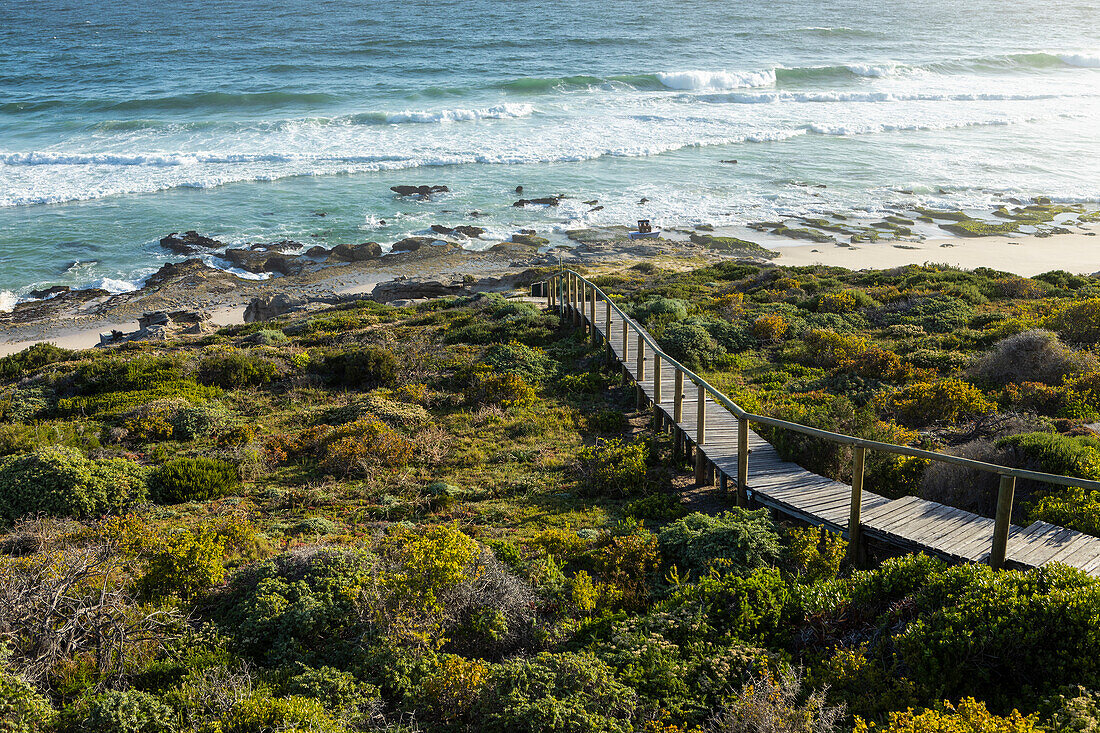 Südafrika, Western Cape, Holzbrücke zum Strand im Naturschutzgebiet Lekkerwater