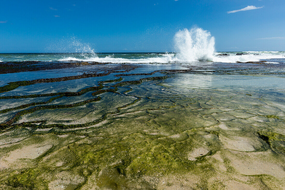 South Africa, Western Cape, Coastline and tidal pools in Lekkerwater Nature Reserve