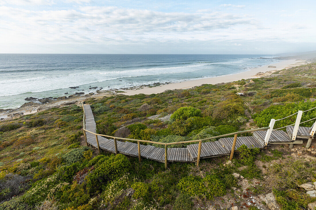 Südafrika, Western Cape, Holzbrücke zum Strand in  Lekkerwater Nature Reserve