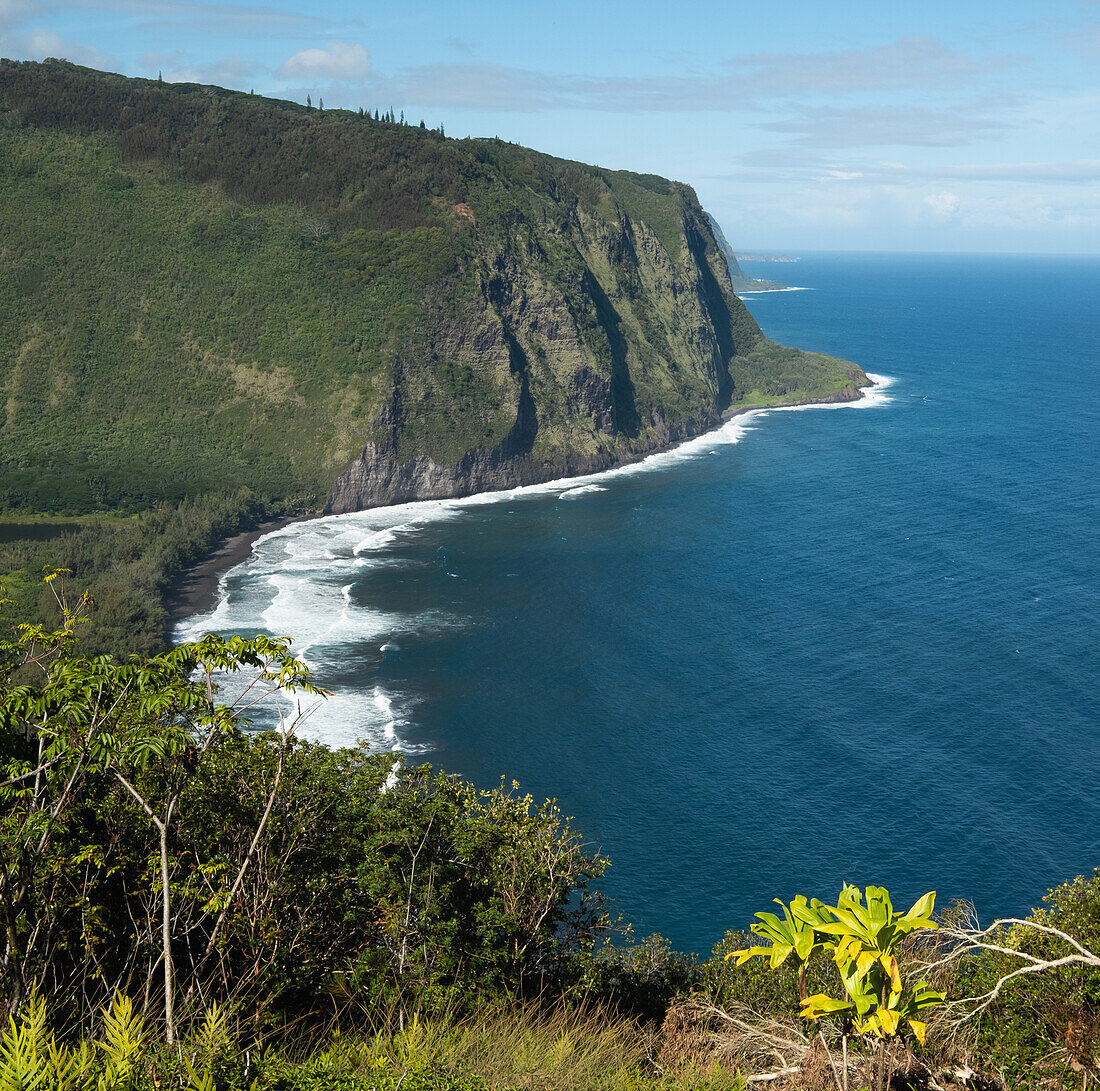 United States, Hawaii, Big Island, Wai Pio, Black sand beach with cliffs
