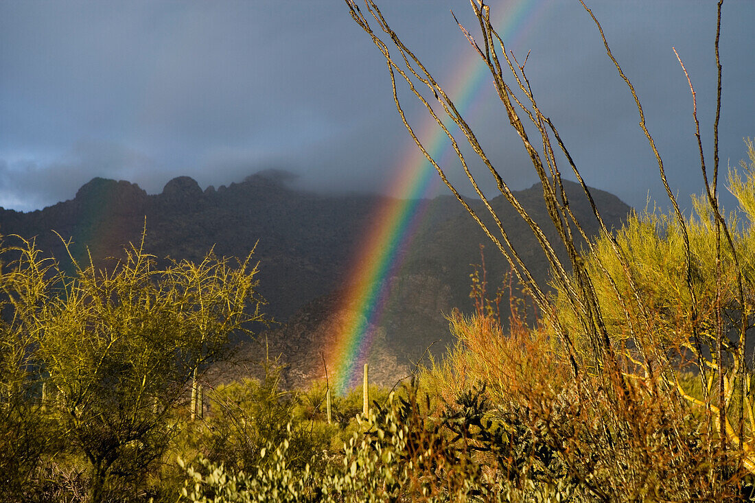 USA, Arizona, Tucson, Regenbogen in Landschaft mit Bergen im Hintergrund