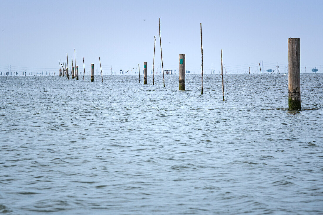 Lagoon view in the Po Delta, Veneto, Italy, Europe