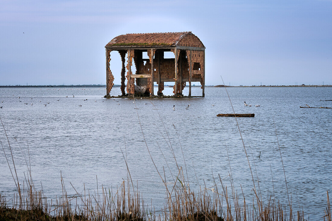 Backstein Ruine im Podelta, Venetien, Italien, Europa