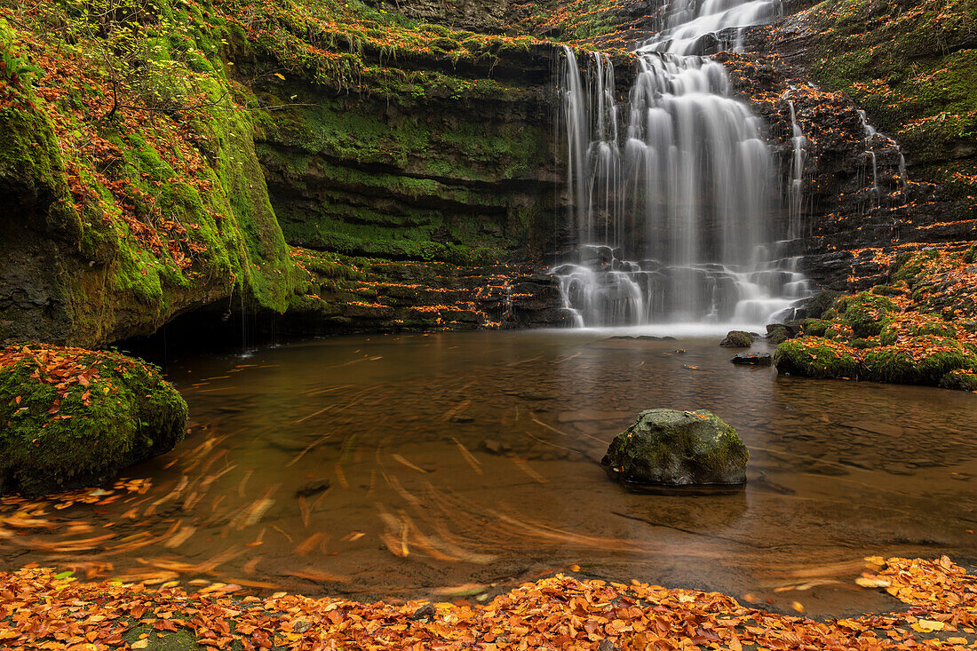 Scaleber Force waterfall in the Yorkshire Dales National Park, North Yorkshire, England, United Kingdom, Europe