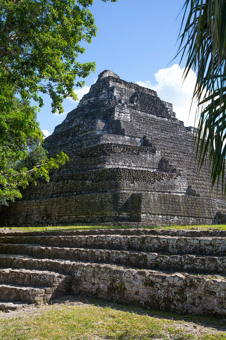 Tempel 24, Maya-Stätte, archäologische Zone Chacchoben, Chacchoben, Bundesstaat Quintana Roo, Mexiko, Nordamerika