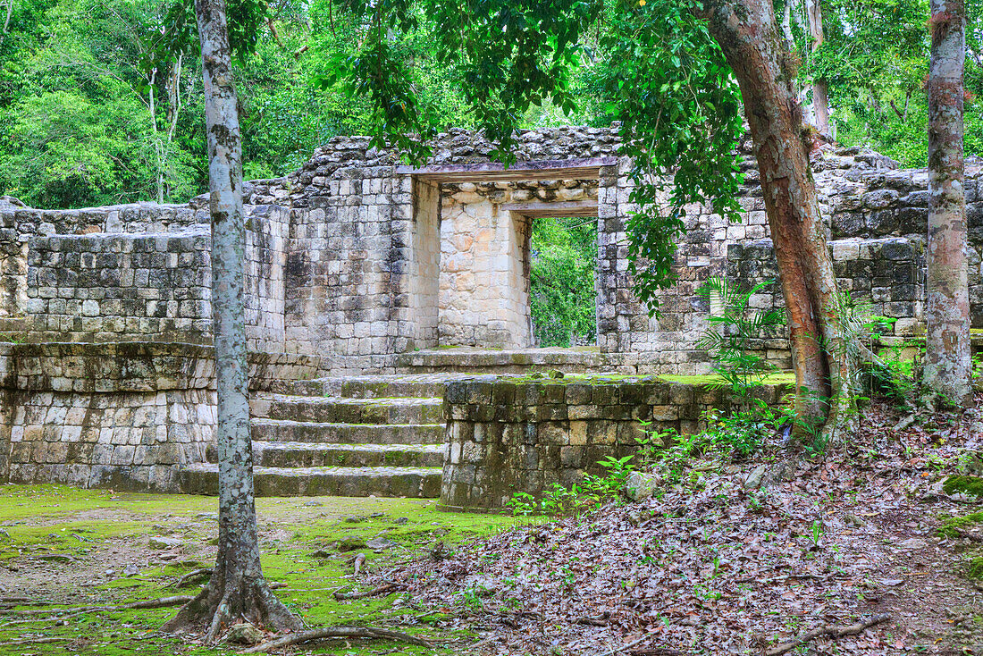 Portal, Struktur IV-B, Archäologische Zone Balamku, Maya-Ruinen, Bundesstaat Campeche, Mexiko, Nordamerika