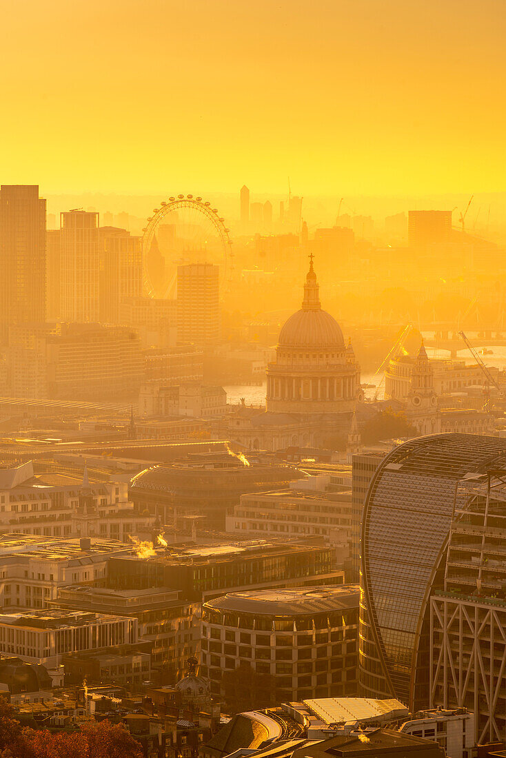 View of London Eye and St. Paul's Cathedral at golden hour from the Principal Tower, London, England, United Kingdom, Europe