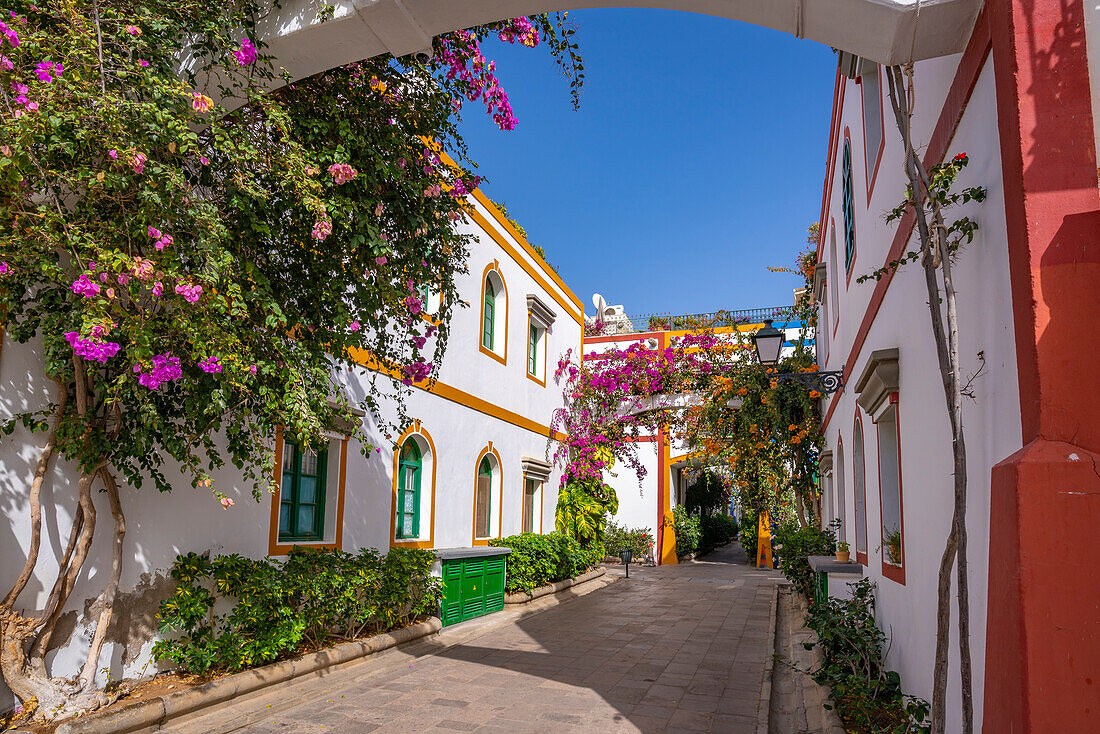 Blick auf bunte Gebäude und Blumen in der Altstadt, Puerto de Mogan, Gran Canaria, Kanarische Inseln, Spanien, Atlantik, Europa