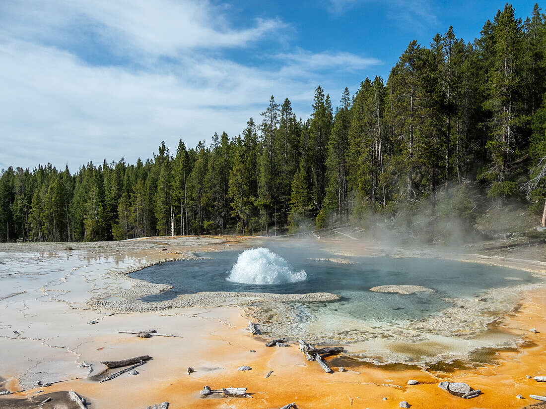 Einsamer Geysir, im Bereich Norris Geyser Basin, Yellowstone National Park, UNESCO-Weltkulturerbe, Wyoming, Vereinigte Staaten von Amerika, Nordamerika