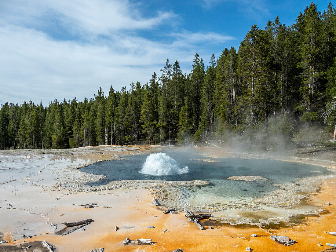 Solitary Geyser, in the Norris Geyser Basin area, Yellowstone National Park, UNESCO World Heritage Site, Wyoming, United States of America, North America