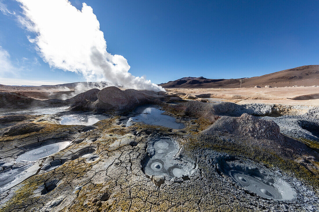 Geysire bei Banos Termales im Eduardo Avaroa Andean Fauna National Reserve, Potosi Department, Bolivien, Südamerika