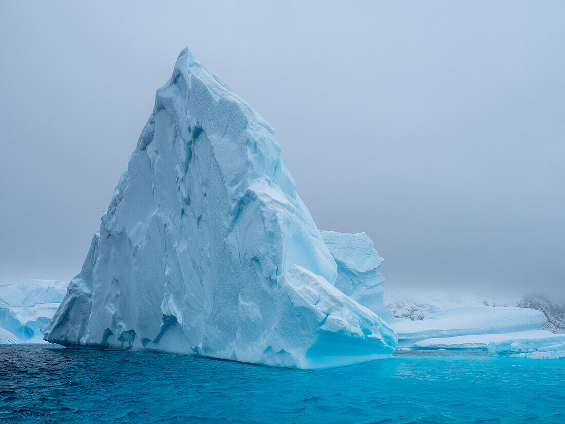 Ein riesiger Eisberg, der auf einem Riff in der Nähe des Eisbergfriedhofs, Petermann-Insel, Antarktis, Polarregionen geerdet ist