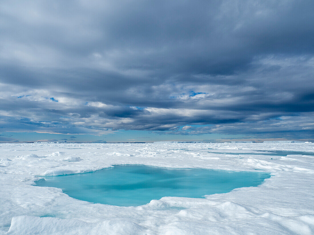 A melt water pool on first year sea ice near Snow Hill Island, Weddell Sea, Antarctica, Polar Regions