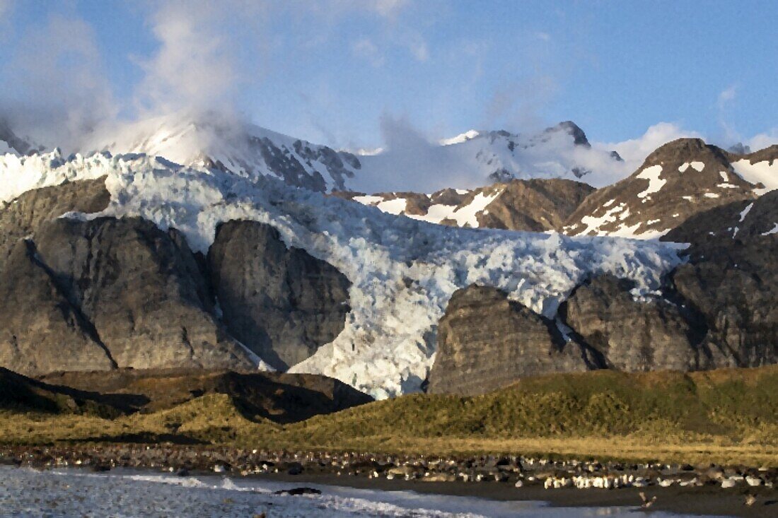 Ein Blick auf den Bertrab-Gletscher in Gold Harbor auf der Insel Südgeorgien, Südatlantik, Polarregionen