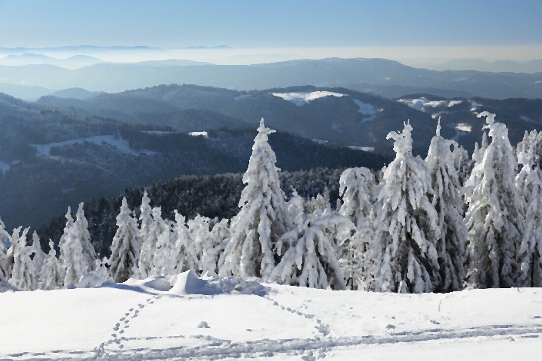 View from Hornisgrinde mountain in winter, Black Forest, Baden Wurttemberg, Germany, Europe